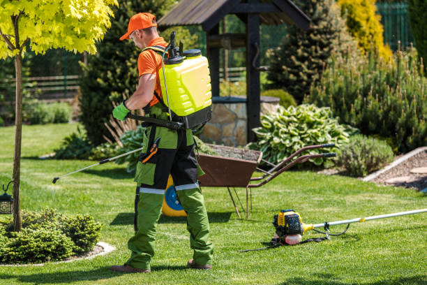 Professional Pest control in Dowagiac, MI